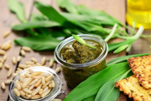 mediterrane Küche Kräuter