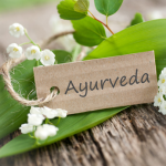 Ayurveda Basis Workshop