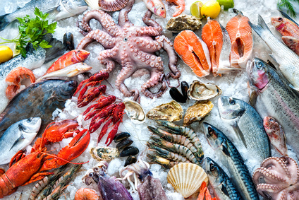 Fisch und Meeresfrüchte - auch ohne Meer viel Fisch hier > AUSGEBUCHT <