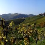 Südsteiermark und das Kürbiskernöl