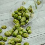 * NEU * Bier Tasting und Dinner - "Hopfige Biere"