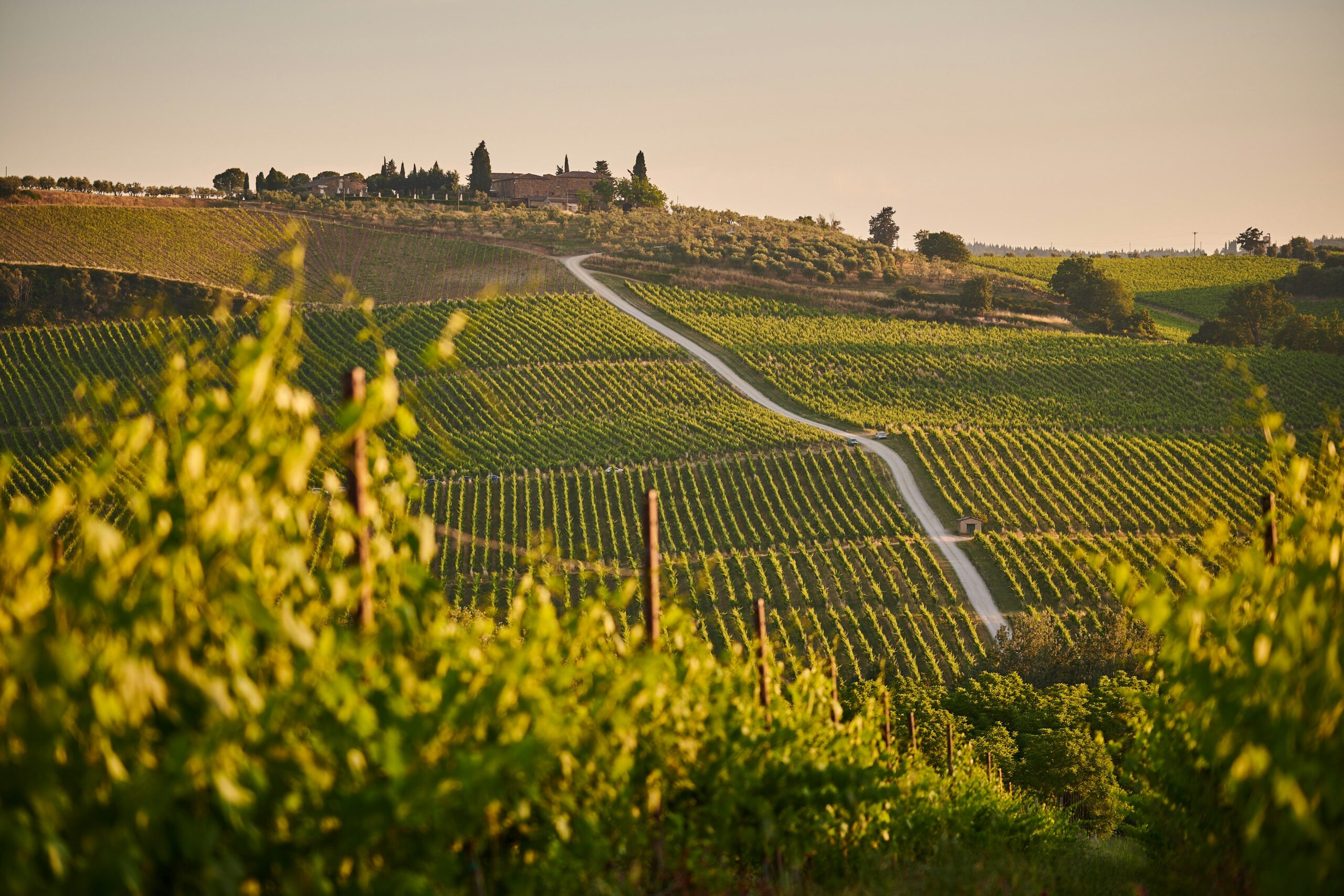 * NEU * Wein Tasting mit der Vinoteca Gardasee "Toskana Maremma und Bolgheri"