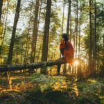 Deep Roots – Dein Weekend-Retreat für Tiefe & Transformation