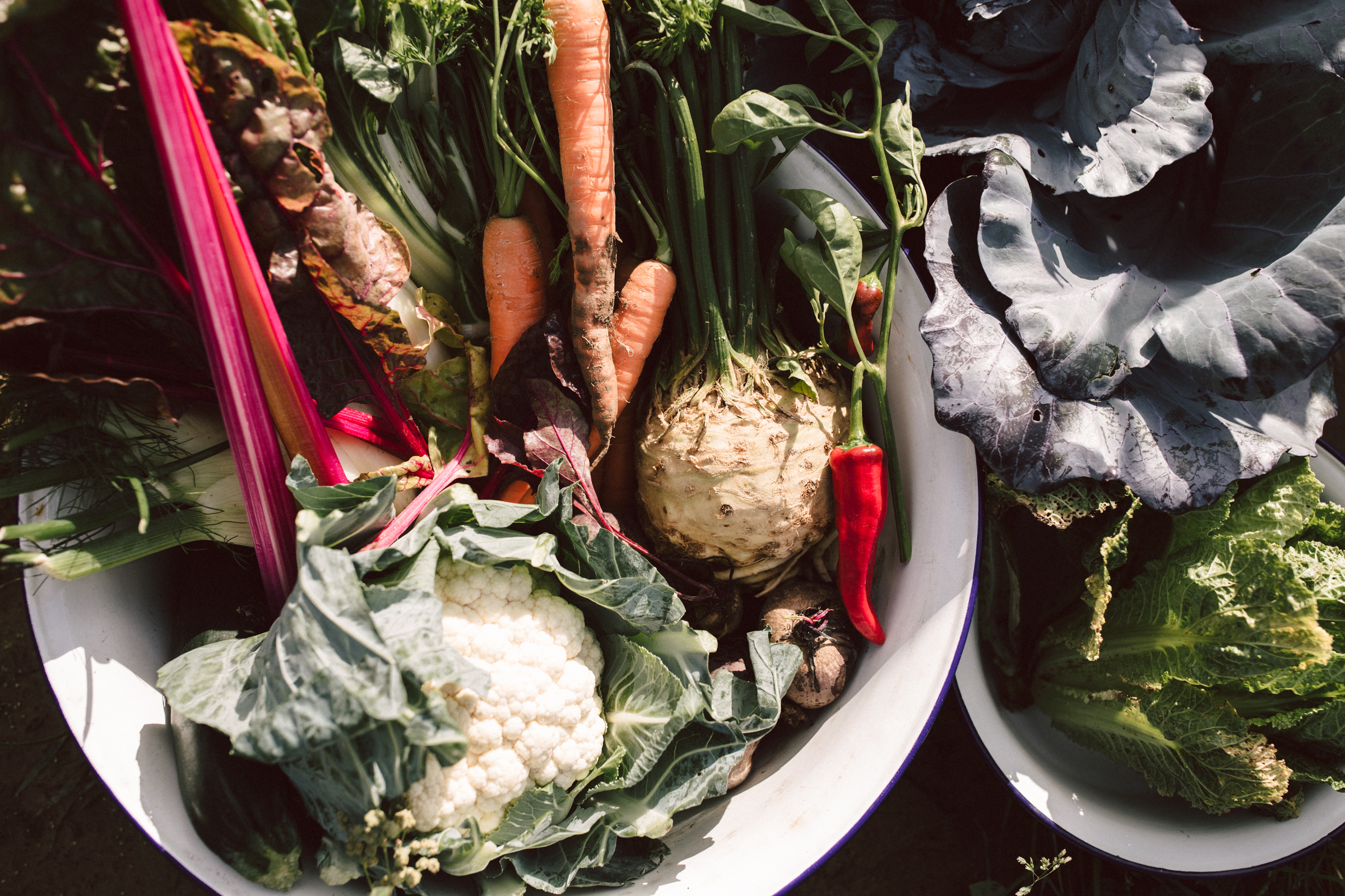 Nourished – Dein Tagesretreat für Fülle & Balance