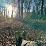 Kochkurs - Sinnesreise durch den Wald